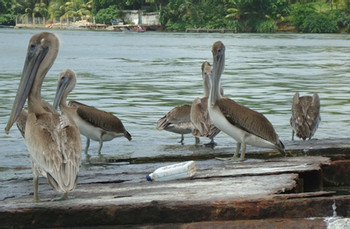 Livingston Cultural Tour photo 3