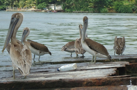 Livingston Cultural Tour photo 3