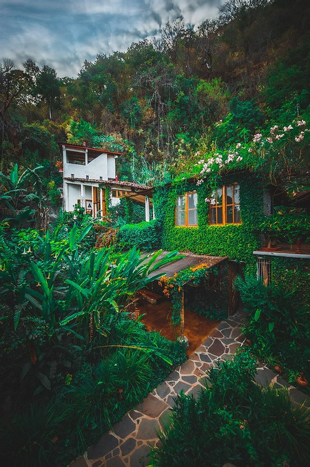 Lush Atitlan Guatemala photo 2