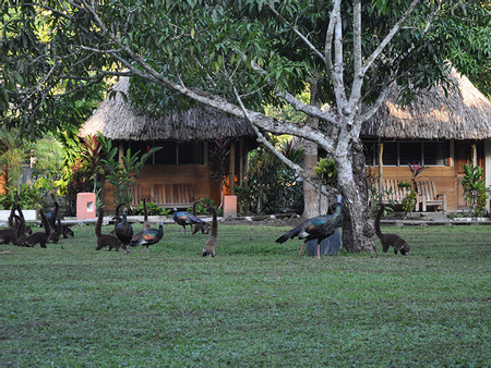 Hotel Tikal Inn - Tikal National Park, Guatemala