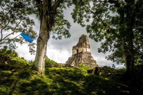 An Unforgettable Trip to Tikal Guatemala