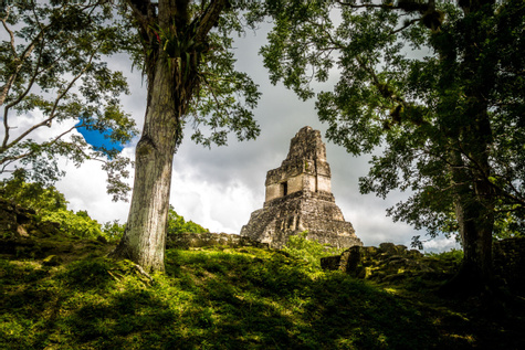 An Unforgettable Trip to Tikal