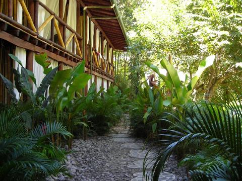 Canaima Chill House Costa Rica