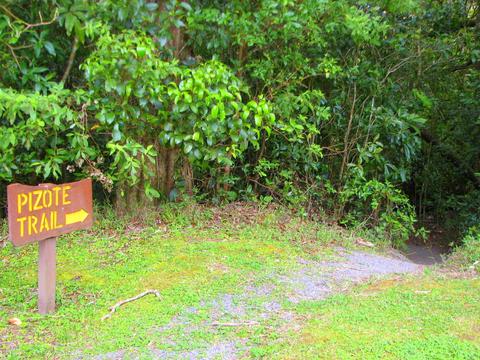 Cloud Forest Lodge Costa Rica