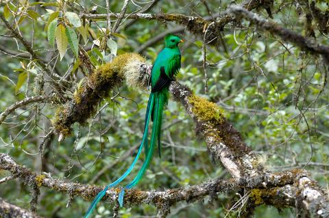 Savegre Natural Reserve & Spa Costa Rica