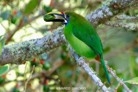 Savegre Natural Reserve & Spa Costa Rica