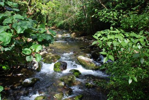 Savegre Natural Reserve & Spa Costa Rica
