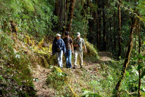Savegre Natural Reserve & Spa Costa Rica