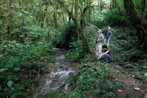Savegre Natural Reserve & Spa Costa Rica