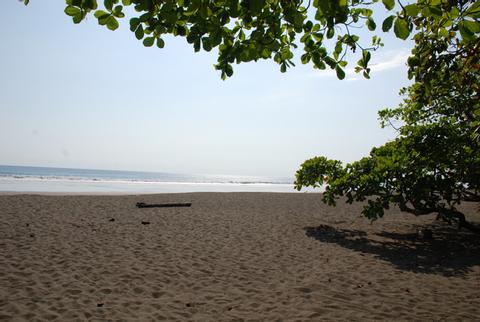 Rafiki Beach Camp Costa Rica