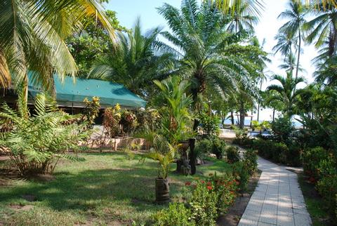 Rafiki Beach Camp Costa Rica