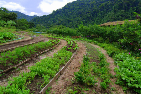 Rancho Margot photo 3