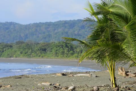 The Agua Dulce Beach Resort Costa Rica