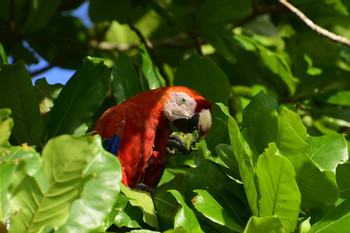Agua Dulce Beach Resort photo 5