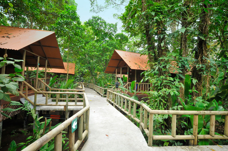 Aninga Lodge photo
