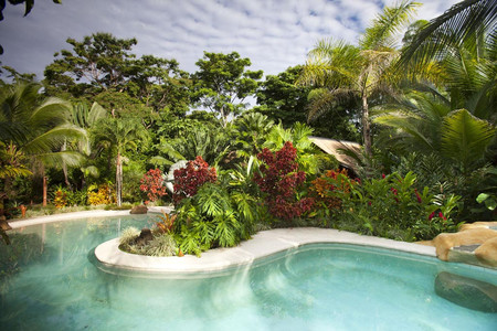 Azania Bungalows photo 3