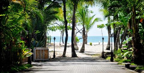 Beach Front Palm House Costa Rica