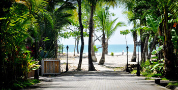Beach Front Palm House photo 3