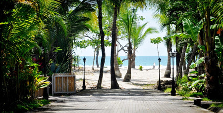 Beach Front Palm House photo 3
