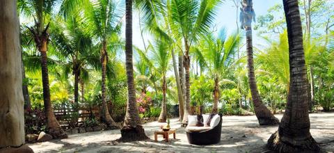 Beach Front Palm House Costa Rica