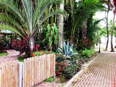 Beach Front Palm House Costa Rica