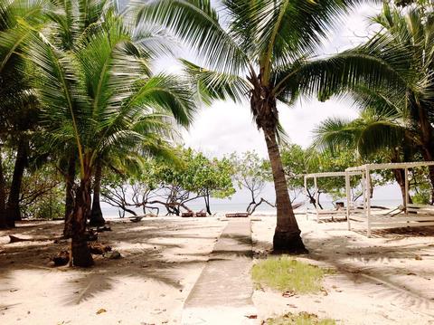 Beach Front Palm House Costa Rica