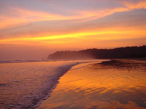 Beach Front Palm House Costa Rica