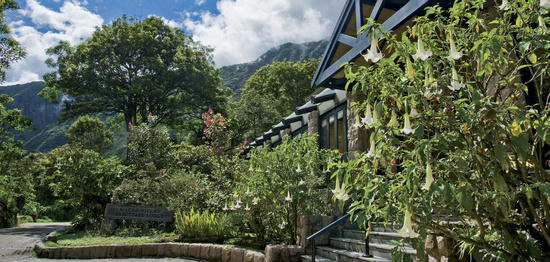 Superior Room with Terrace Photo