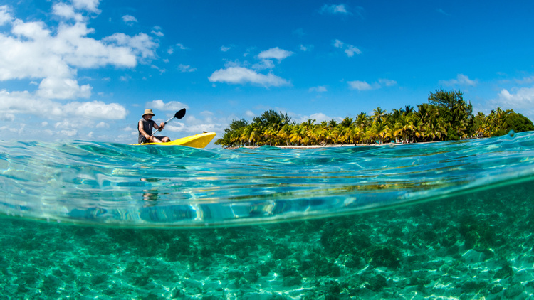 Resort de Playa Blue Marlin photo
