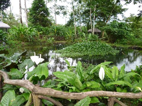 Blue River Resort Costa Rica