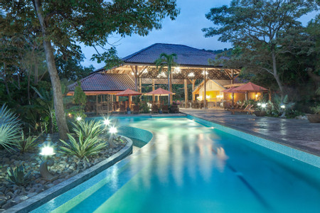 Bodhi Tree Yoga Resort photo 3