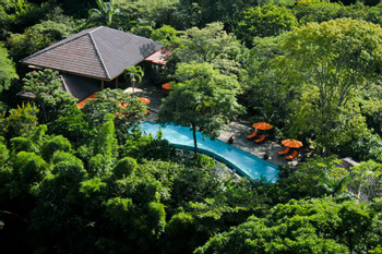 Bodhi Tree Yoga Resort photo 4