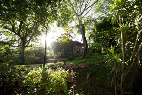 Bodhi Tree Yoga Resort