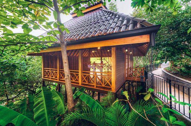 Bodhi Tree Yoga Resort photo