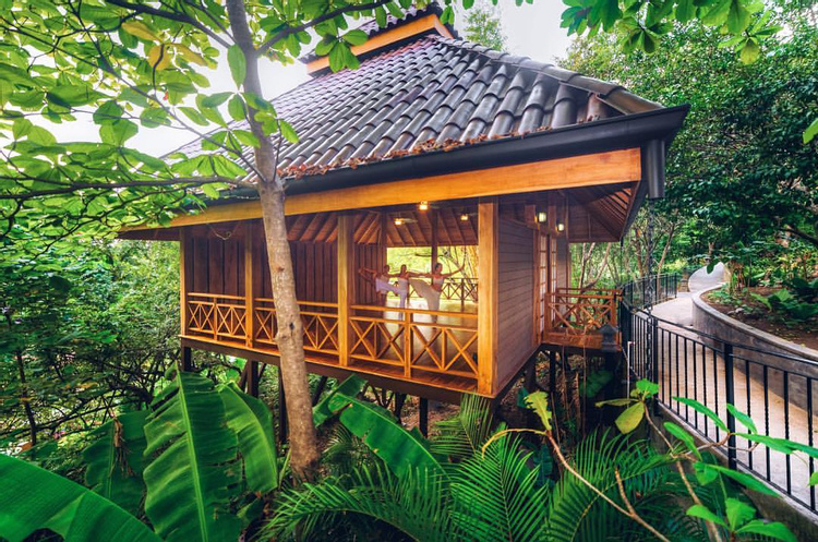 Bodhi Tree Yoga Resort photo