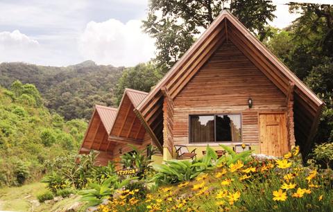 Boquete Tree Trek Mountain Resort Panama
