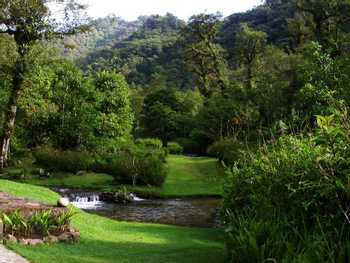 Bosque de Paz Lodge