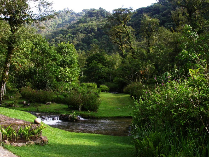 Bosque de Paz Lodge photo
