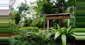 Costa Rica Bosque del Cabo Lodge