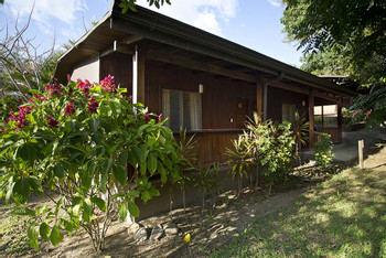 Buena Vista del Rincón photo 4
