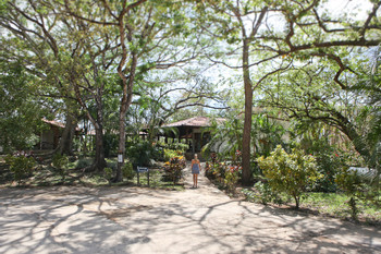 Cabinas Las Olas photo 3