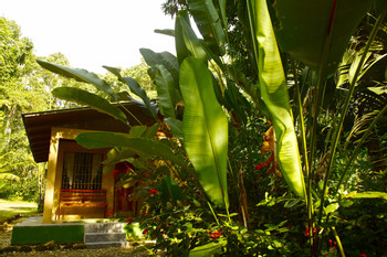 Cabinas Los Laureles photo 3