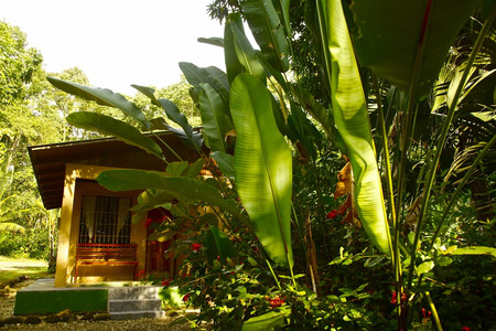 Cabinas Los Laureles photo 3