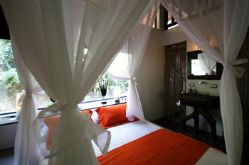 Canaima Chill House photo 5