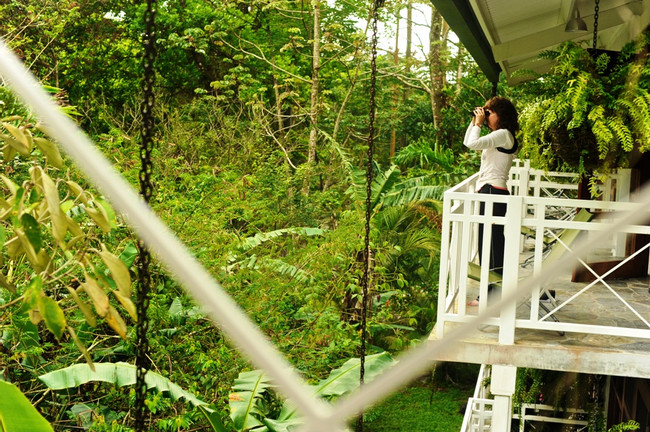 Canopy Lodge photo