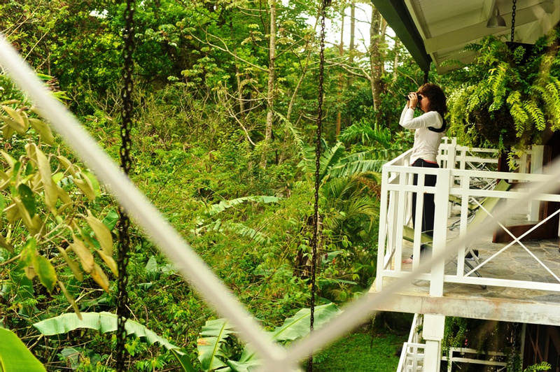 Canopy Lodge photo
