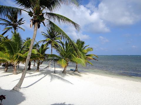 Captain Morgan's Retreat