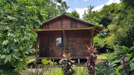 Cataratas Bijagua Lodge