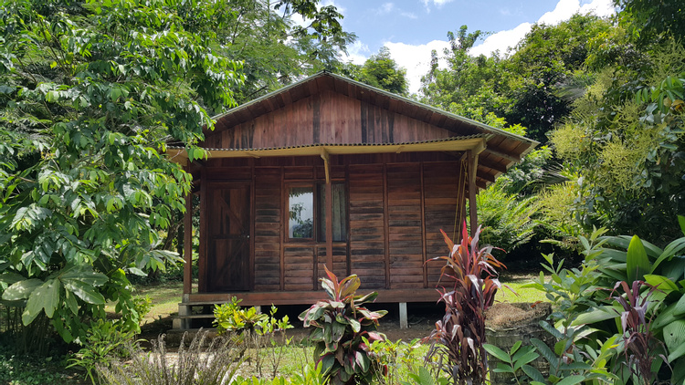 Cataratas Bijagua Lodge photo
