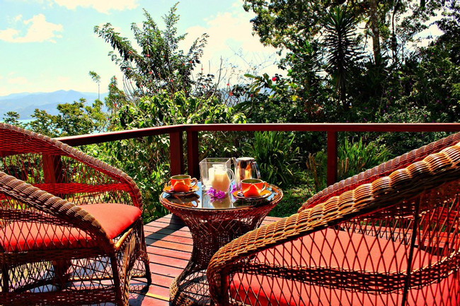 Ceiba Tree Lodge  photo